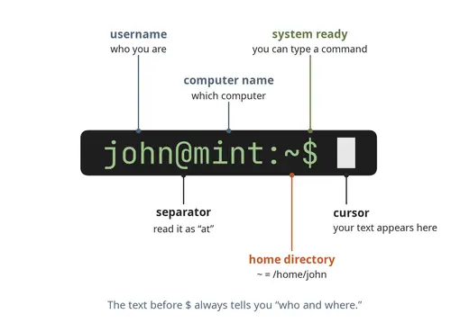 The parts of the prompt