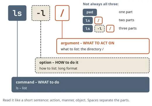 The parts of a command line: command, options, arguments