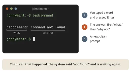 The terminal after an error: the system tells you what went wrong