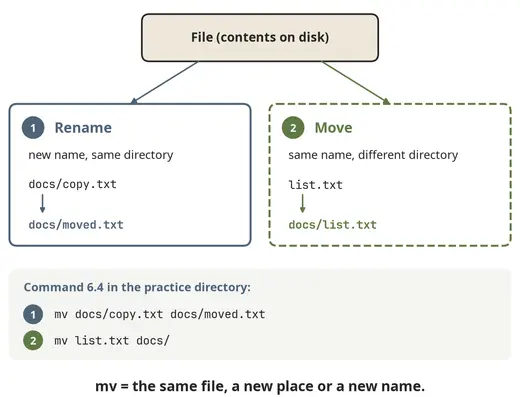 The mv command: renaming and moving