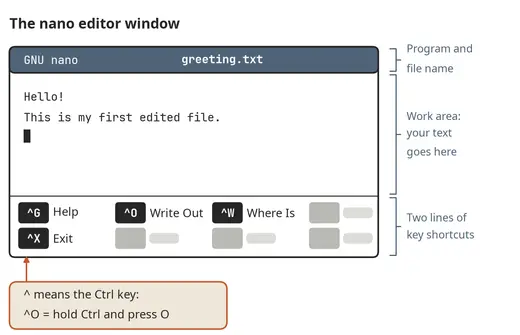 The nano text editor