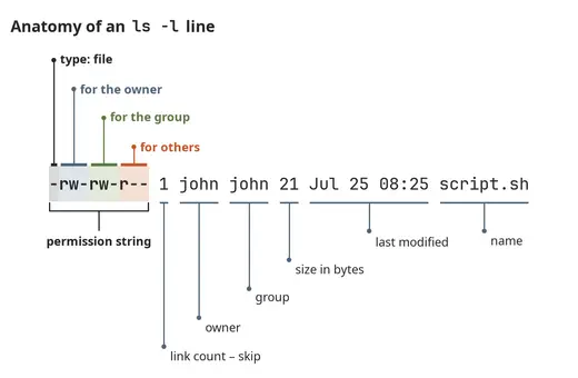 Taking apart a line of ls -l output