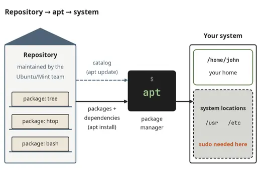 From the repository through apt into the system