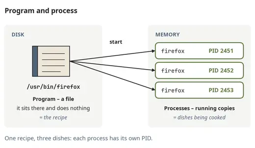 One program, several processes