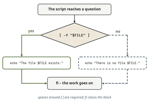 The if statement: two possible branches