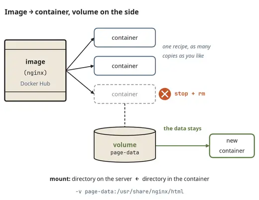 Image, containers and a volume