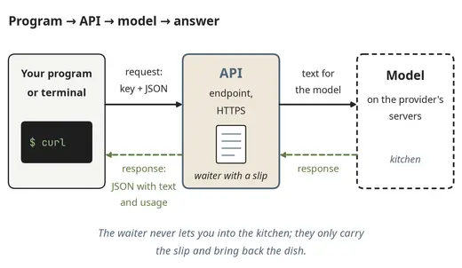 From a program through the API to the model and back